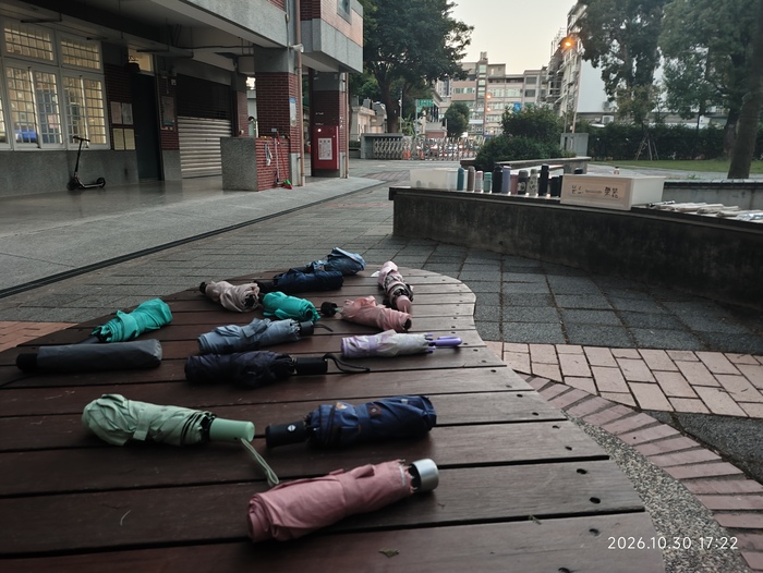 雨具類：摺疊傘居多